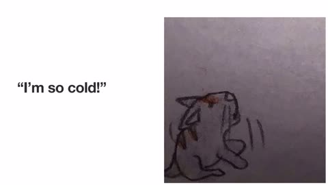 A Cold Kitten!