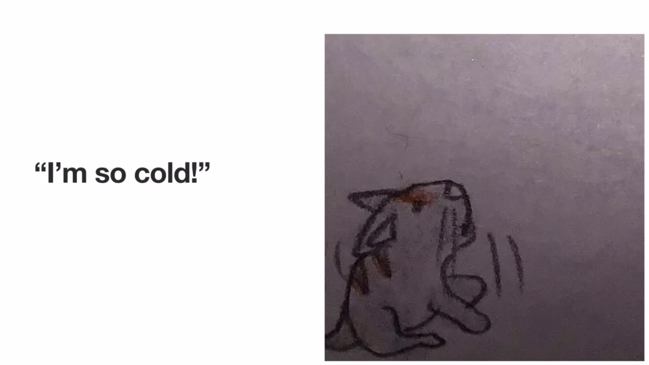 A Cold Kitten!