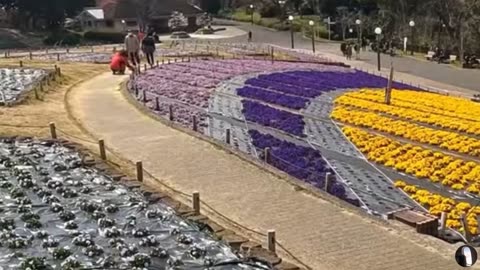 Tsurumi Ryokuchi Park Osaka Japan Tour