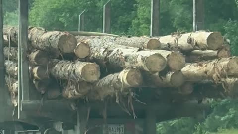 Loose Logs on Semi Truck
