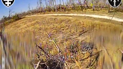 🚀🎯 Ukraine Russia War | SIGNUM Battalion Drone Strikes in Lyman | RCF