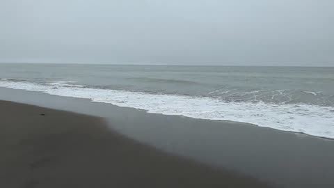 Somber Beachscape