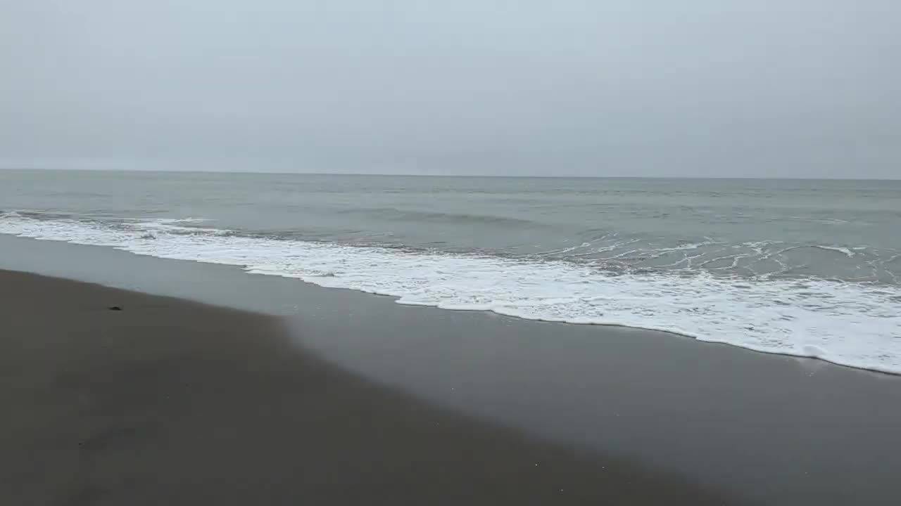 Somber Beachscape