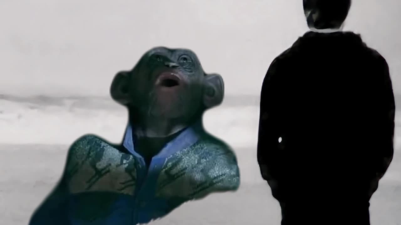 The one that got away