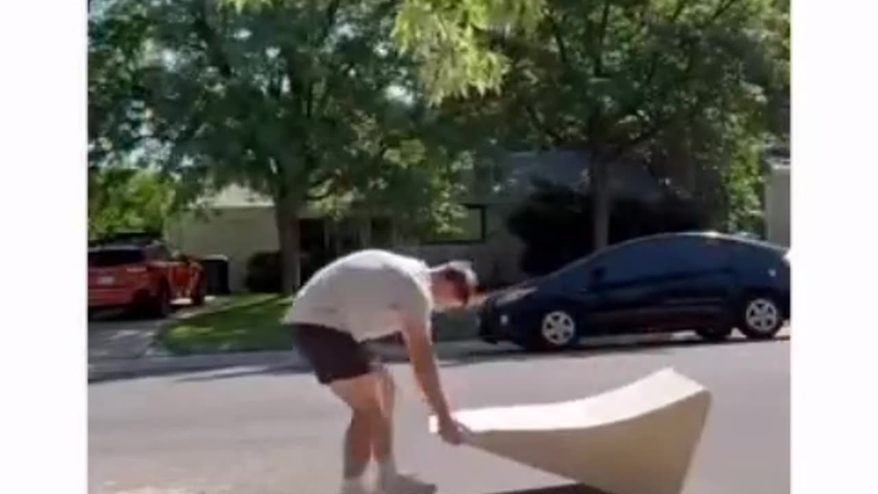 funny skating dog