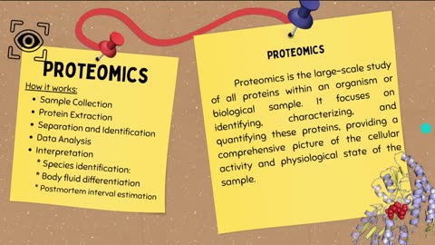 Forensic Aspects of Identification