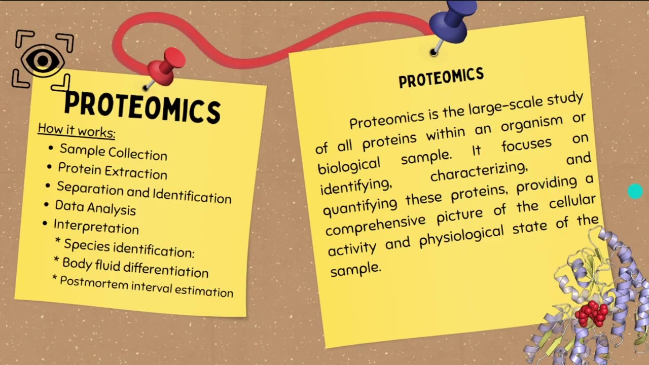 Forensic Aspects of Identification