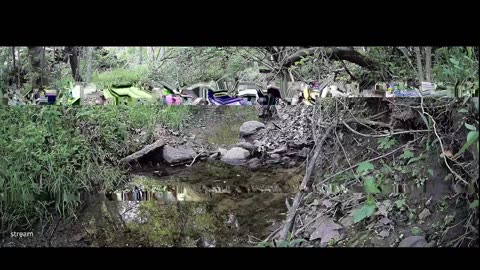 Live Stream