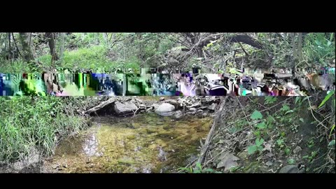 Live Stream