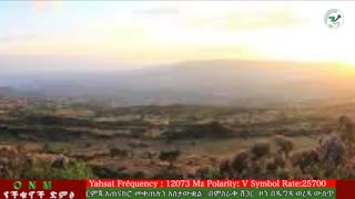 ሰኔ 26-2025 ONM-ABO እለታዊ የኦሮሞ ነፃነት ሰራዊትና የኦሮሚያ ውሎ!
