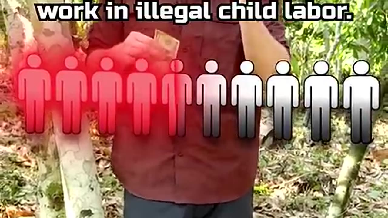@Mr beast chocolate chip