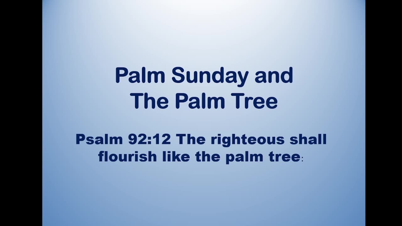 Bible Teaching: Palm Sunday and the Palm Tree