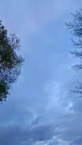 Migratory birds are flying... Belarus. Selyava Lake. April