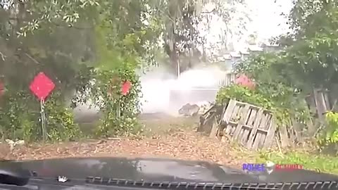 MEANWHILE, A FLORIDA MAN ...