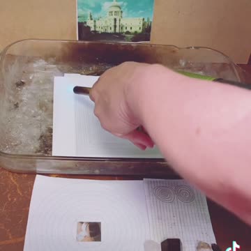 Tim Rifat TikTok Videos