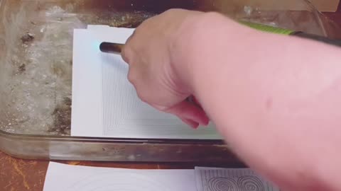 Tim Rifat TikTok Videos