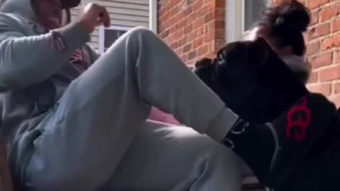 😱 Cane corso proteje a su dueña.😱