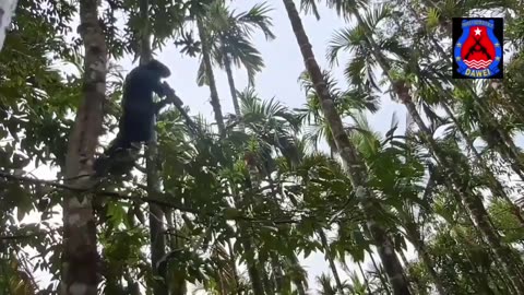 🎯🔫 Myanmar War | PDF Sniper Targets Junta Police Bunker Near Dawei | RCF