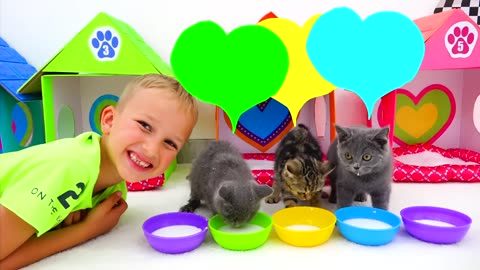 Kids play with Kittens