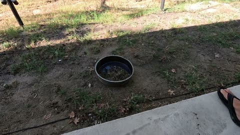 Stop the Flame – AIERLERZHEE Fire Blanket!