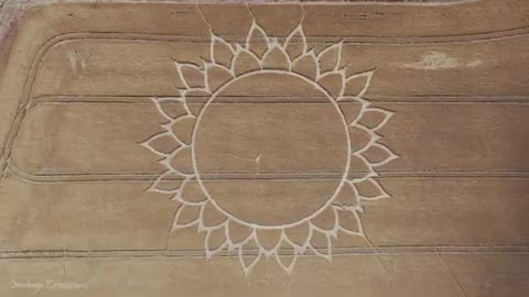 Le Potterne Hill Crop Circle revisité un mois plus tard