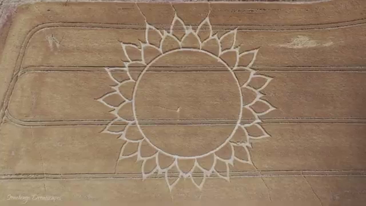 Le Potterne Hill Crop Circle revisité un mois plus tard