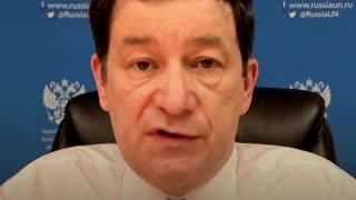 Dmitri Polianski: Ucrania simplemente está jugando