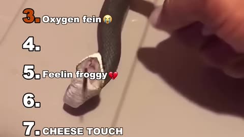 Funny moments