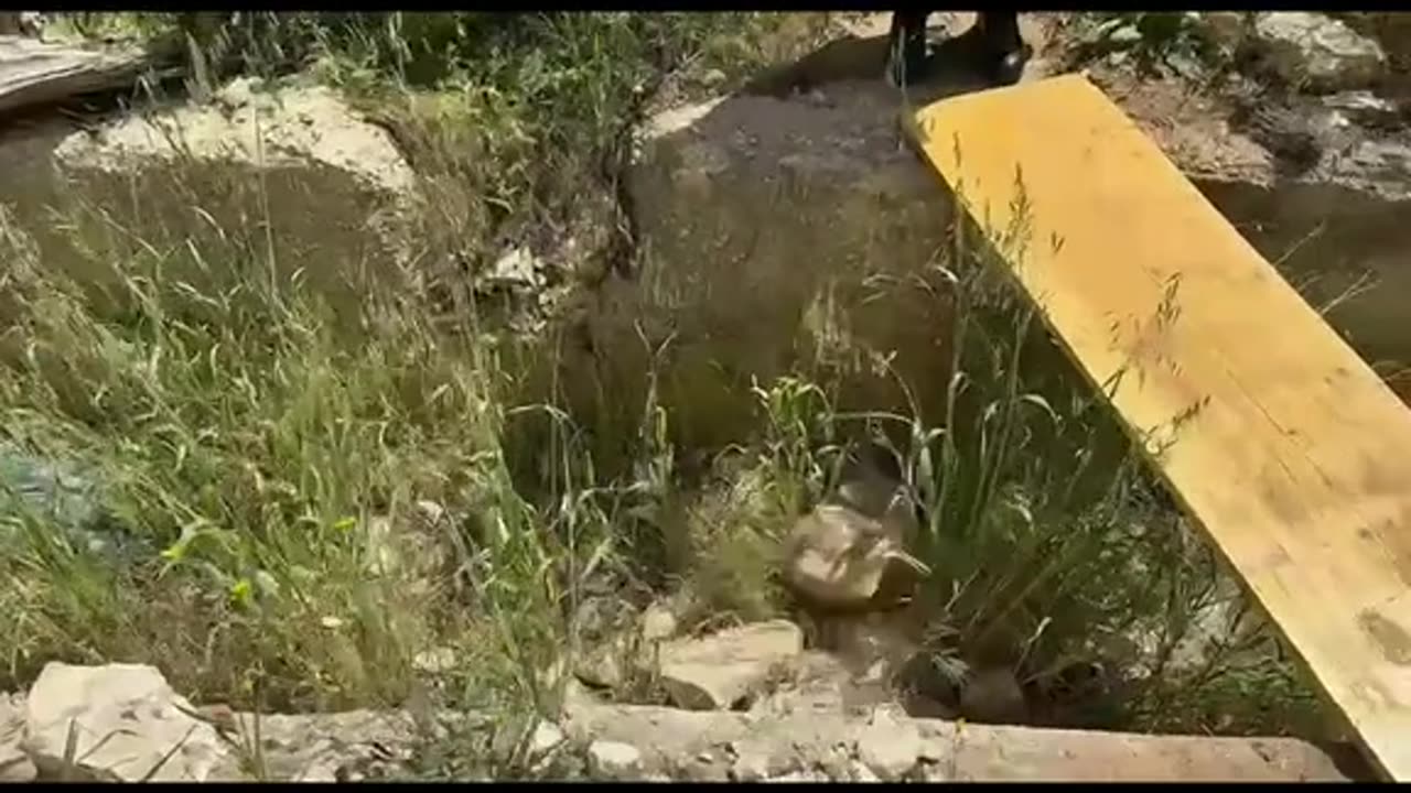 Autovelox nascosto San Michele di Bari