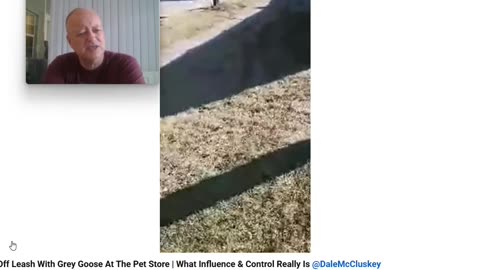 The Anti Dog Trainer - Control and Influence takes a Walk - Pt 1