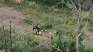 👍 WOW… Ukrainian soldier stuck in the grey zone was delivered a electric bicycle