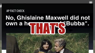 Fact Check: Fake AP Screenshot About Ghislaine Maxwell's Golden Retriever And Horse Bubba