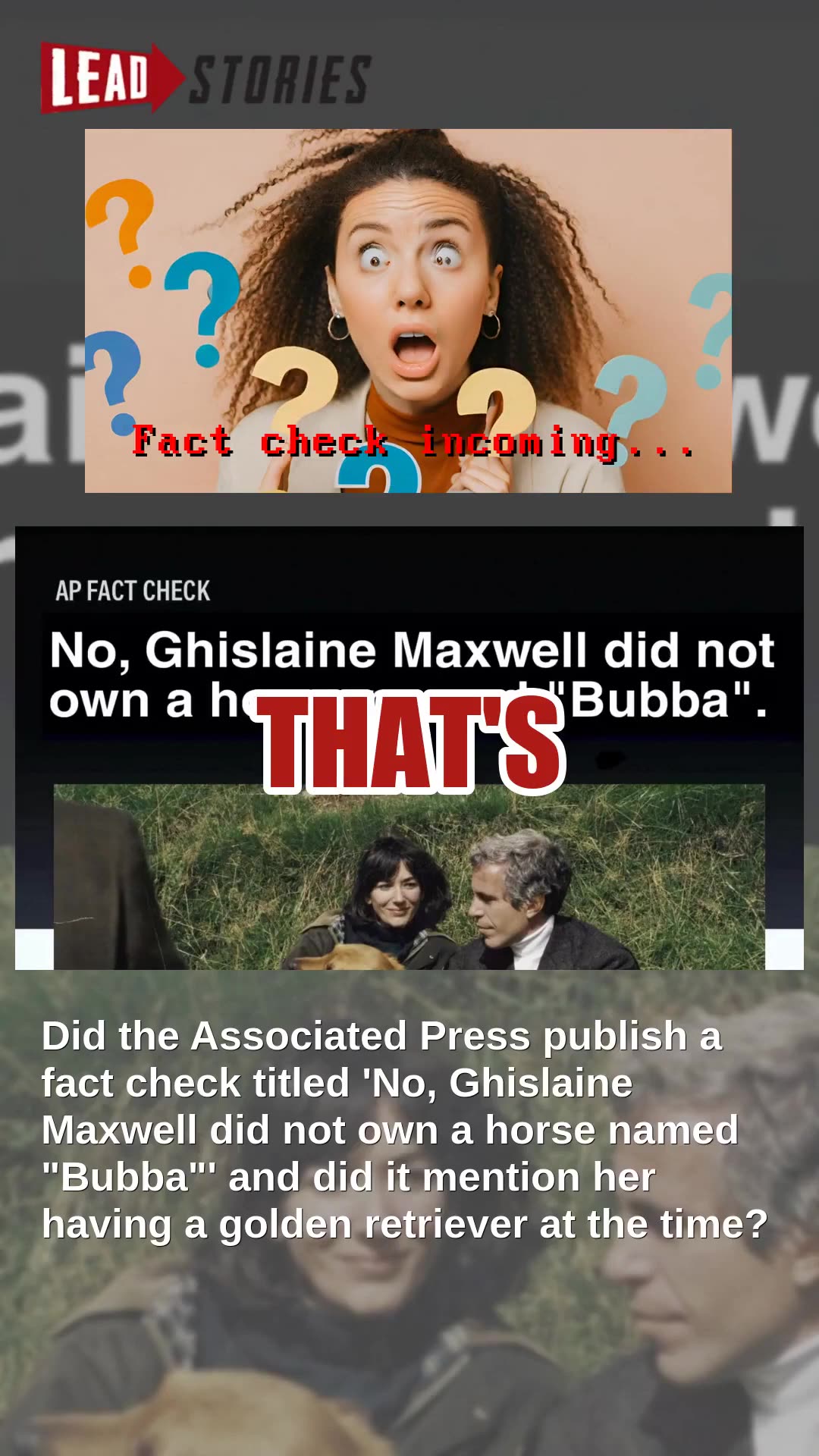 Fact Check: Fake AP Screenshot About Ghislaine Maxwells Golden Retriever And Horse Bubba