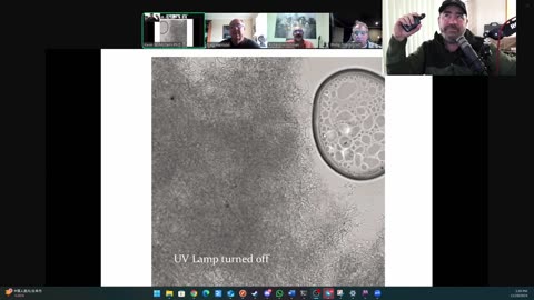 (CLIP) High Amyloidogenicity in Post-Mortem 'Calamari' Clots, Nanobot Nonsense