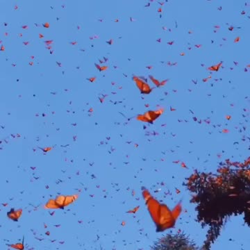 One sip of beer….😆