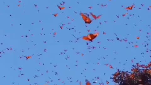 One sip of beer….😆