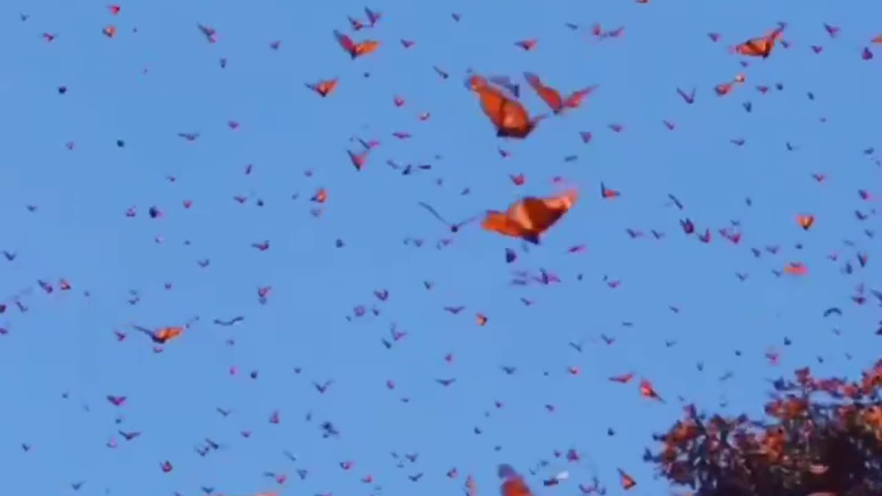 One sip of beer….😆