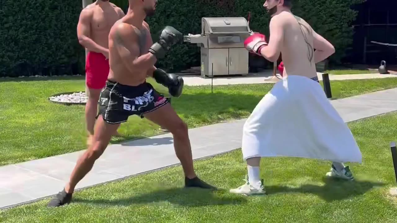 Day 17_ Fighting Followers. Andrew Tate