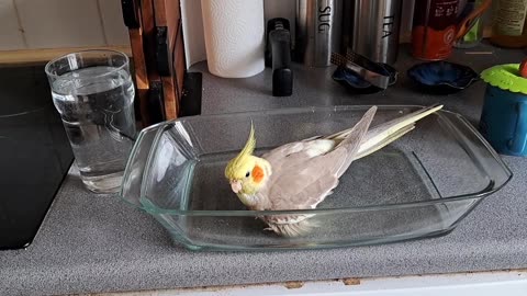 Quincy Bath Time