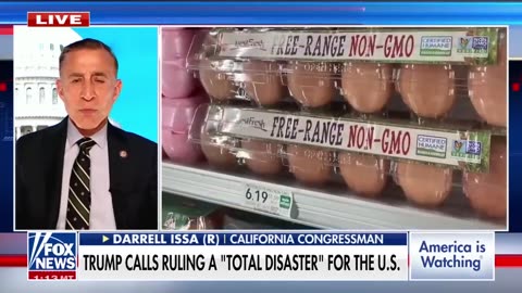 This is clearly in Trump’s authority, GOP lawmaker says