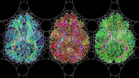 My Letter To @GonzoShimura