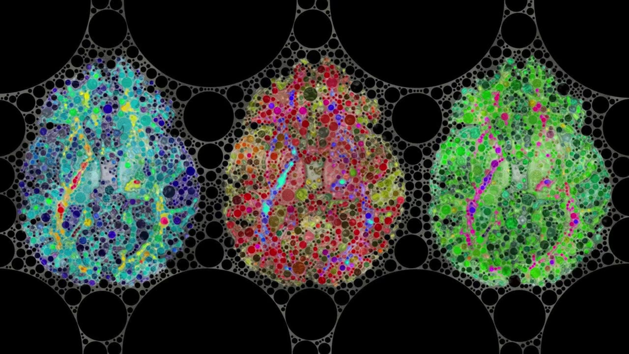 My Letter To @GonzoShimura