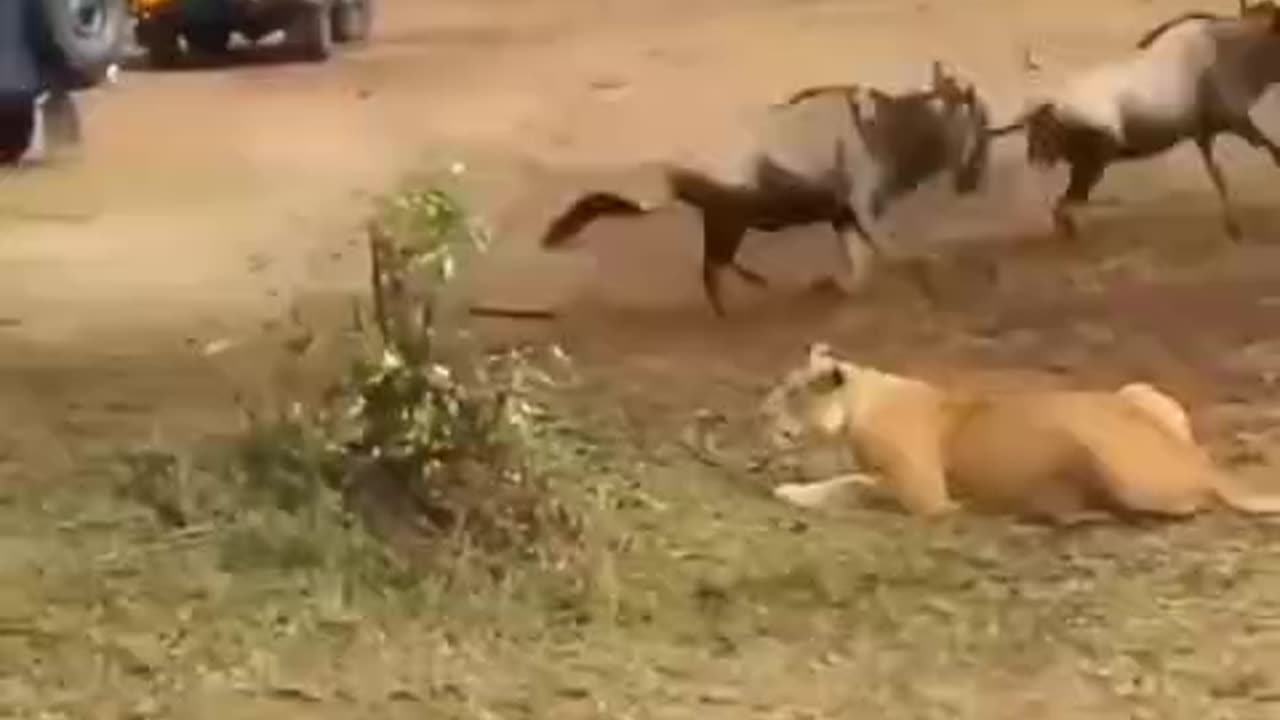 The difference between men and women shopping