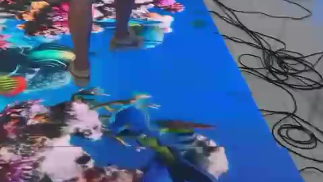 LED Flexible Transparent Display Screen