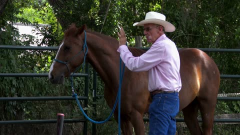 Cowboy Up 5-4