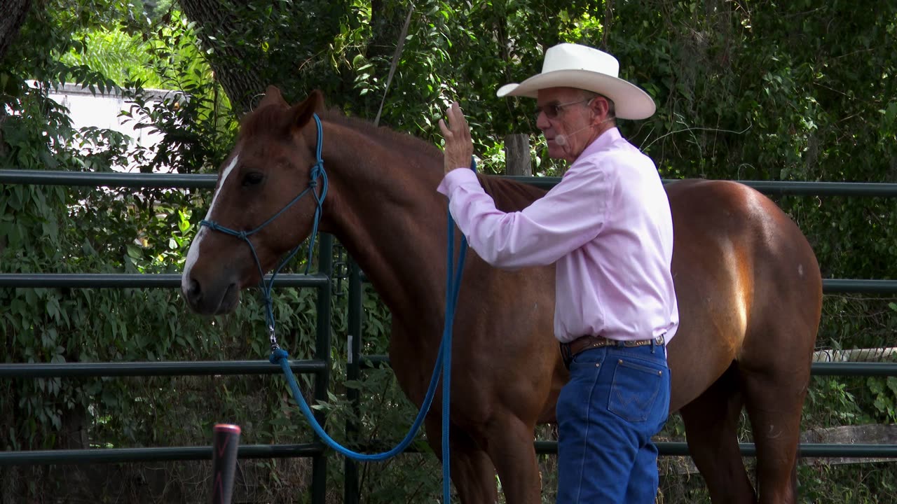 Cowboy Up 5-4