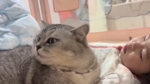 The cat watched the little master fall asleep and secretly kissed her