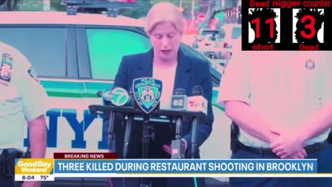 Mass shooting in Brooklyn New York