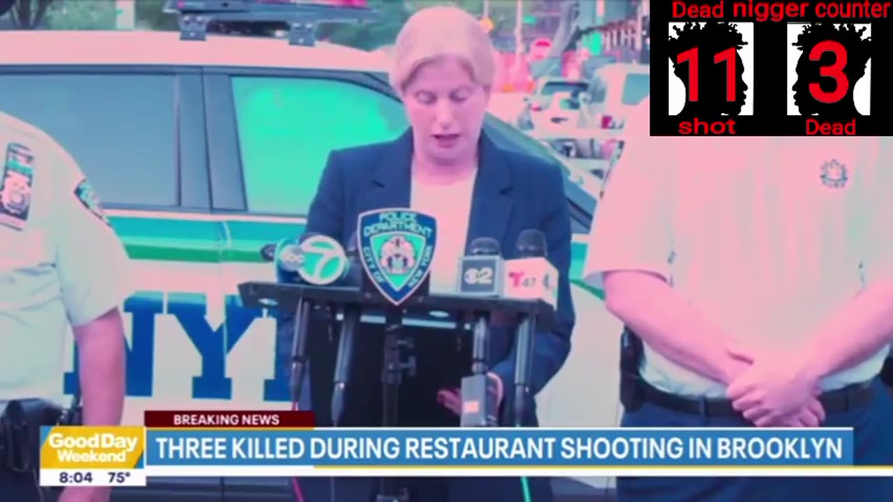 Mass shooting in Brooklyn New York