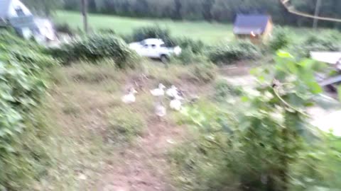 side by side mountain ride